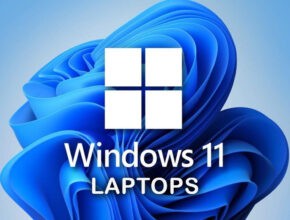 techdriod.com,Windows 11 supported laptops, windows 11 compatible laptops, Windows 11 multi monitor settings, hp laptops, dell laptops, asus laptops,Windows 11 leak version, windows 11 launch date, windows 11 features, windows 11 performance improvement, windows 11 features, Microsoft ends Windows 10, microsoft teams, Windows10, microsoft windows 10, microsoft office, microsoft word, microsoft windows, outlook Microsoft, microsoft surface, microsoft office 365, microsoft store, microsoft edge, microsoft windows 10, windows 10, xbox Microsoft, microsoft excel, Xbox, microsoft surface duo, microsoft flight simulator, microsoft teams login, tesla stock, forms Microsoft, descargar microsoft teams, microsoft tems, microsoft teams web,