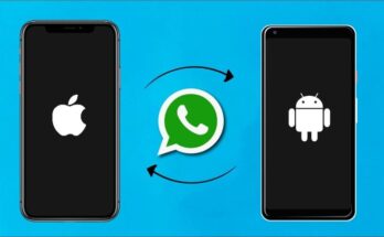 whatsapp android to iphone, whatsapp android to ios, whatsapp android to ios transfer, whatsapp android download, whatsapp android to iphone free, whatsapp android version support, whatsapp android to iphone transfer free, whatsapp android to iphone backup, whatsapp android apk download,, techdriod,