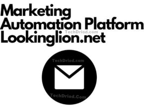 Marketing Automation Platforms Lookinglion.Net TechDriod.Com Website